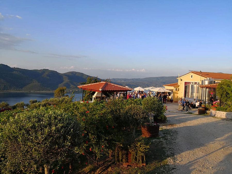 vineyards with the building of' Vriniotis Winery and tourists in the background